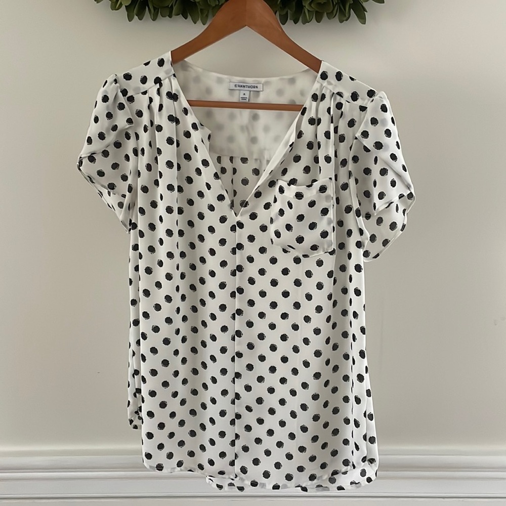 Polka Dot Blouse